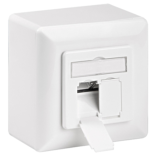 Netzwerkdose Cat.6a LAN Dose 2-fach RJ45 geschirmt Datendose Aufputz weiß